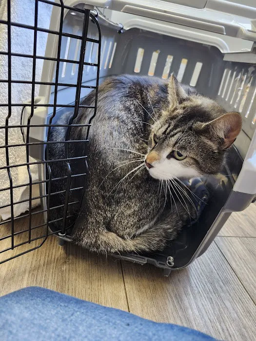 Darby Creek Veterinary Clinic, LLC Picture 4