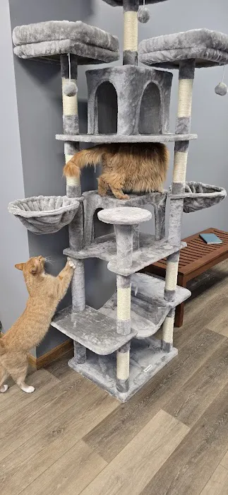 Darby Creek Veterinary Clinic, LLC Picture 7