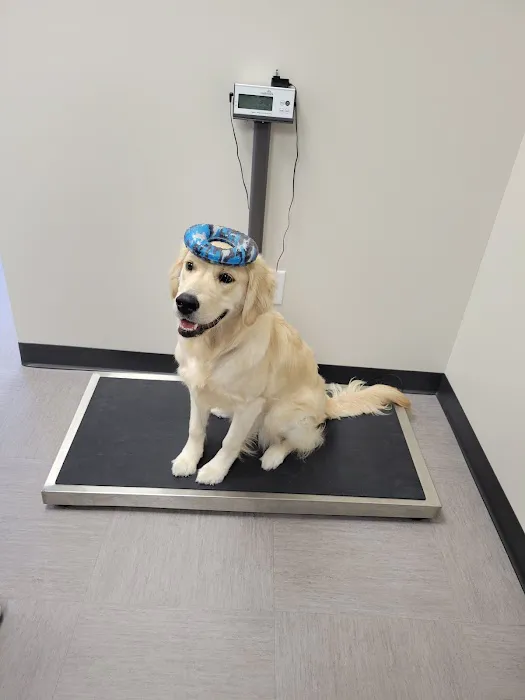 Pets First Veterinary Clinic Picture 7