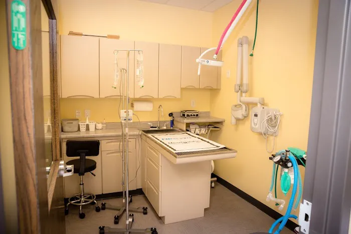 Pets First Veterinary Clinic Picture 3