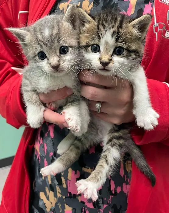 Pets First Veterinary Clinic Picture 9