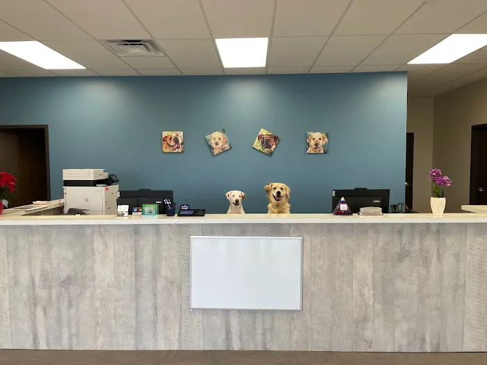 Pets First Veterinary Clinic Picture 8