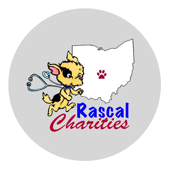 Rascal Charities Picture 3