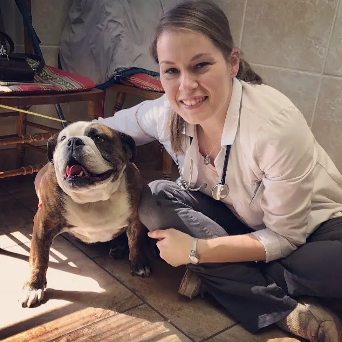 Community Veterinary Clinic Picture 2