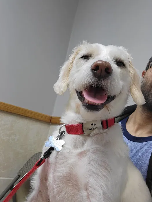 Community Veterinary Clinic Picture 4
