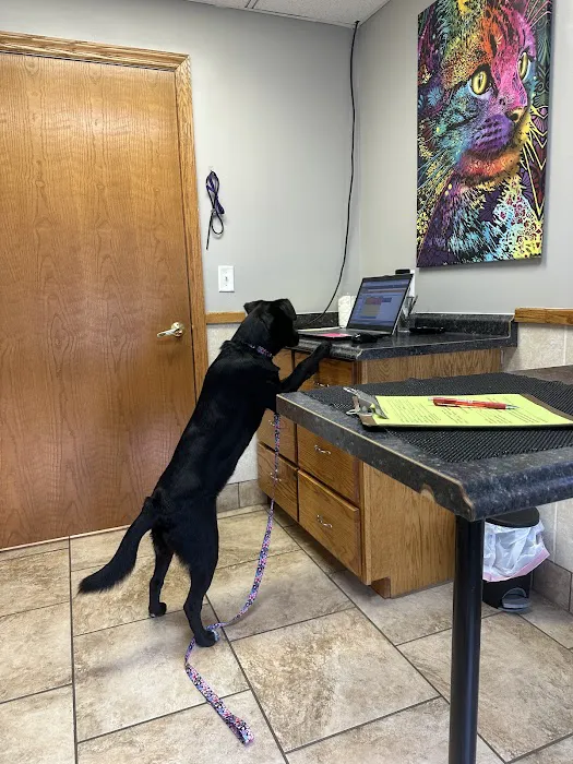 Community Veterinary Clinic Picture 10