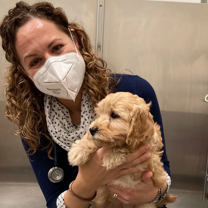 Good Life Veterinary Care Picture 5