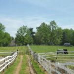 Good Thunder Veterinary Services