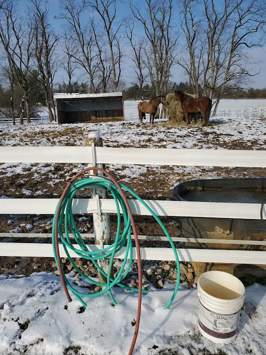 Good Thunder Veterinary Services Picture 5