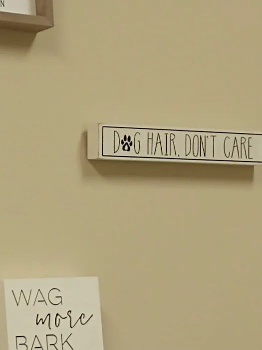 Wright-Patterson AFB Veterinarian Services Picture 6