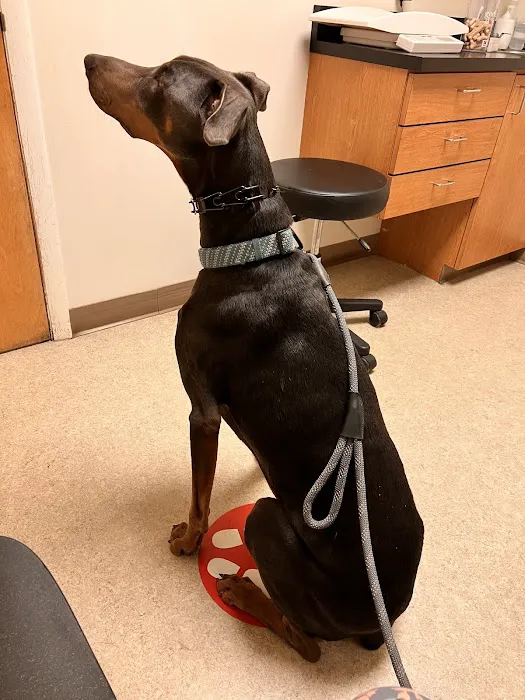 Huber Heights Animal Hospital Picture 5