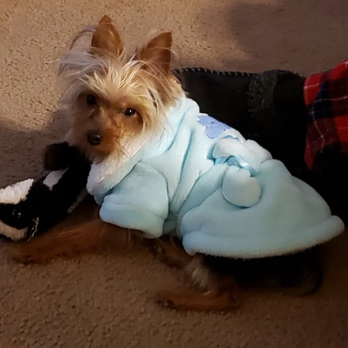 Huber Heights Animal Hospital Picture 4