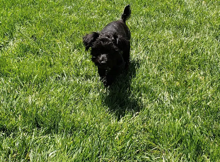 Huber Heights Animal Hospital Picture 10