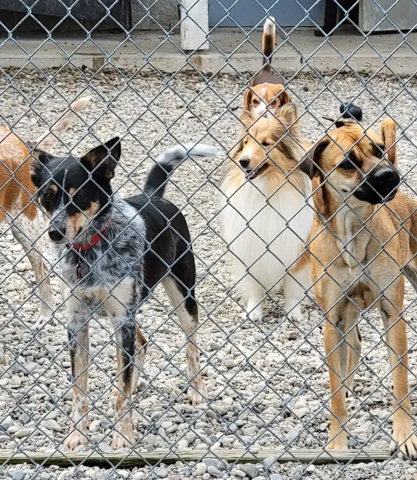 Eastgate Animal Hospital Picture 2