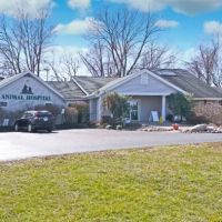 Eastgate Animal Hospital ico