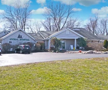 Eastgate Animal Hospital