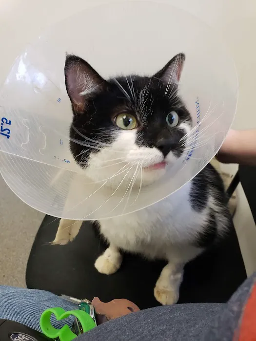 Eastgate Animal Hospital Picture 4