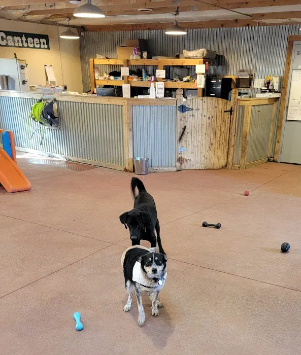 Eastgate Animal Hospital Picture 8