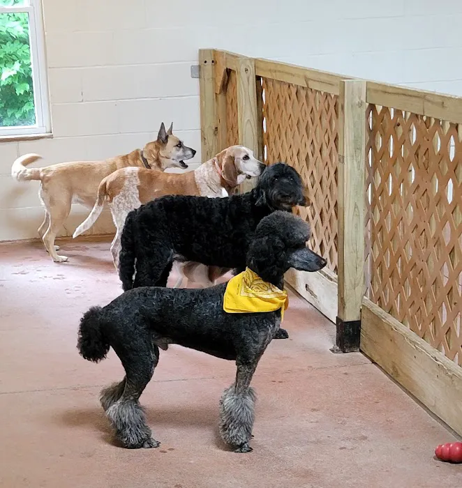 Eastgate Animal Hospital Picture 10