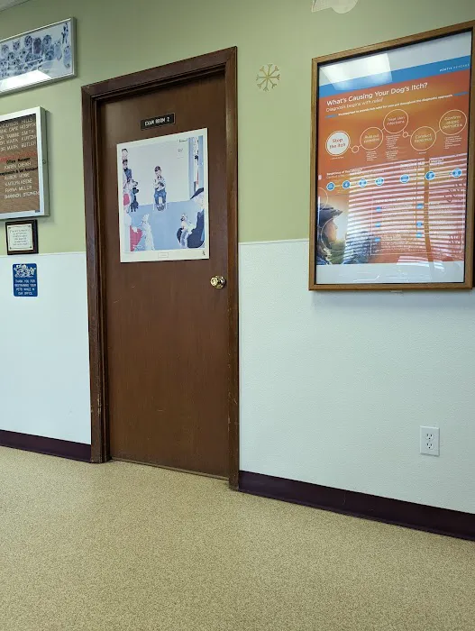 Anderson Hills Animal Care Hospital Picture 6