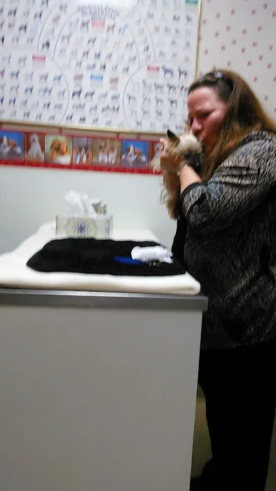 Anderson Hills Animal Care Hospital Picture 8