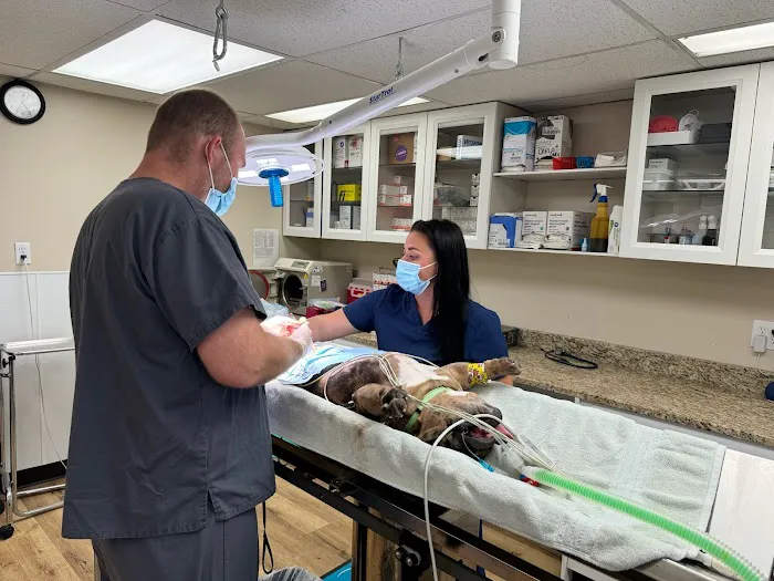 Cincinnati Veterinary Surgical & Wellness Center Picture 9