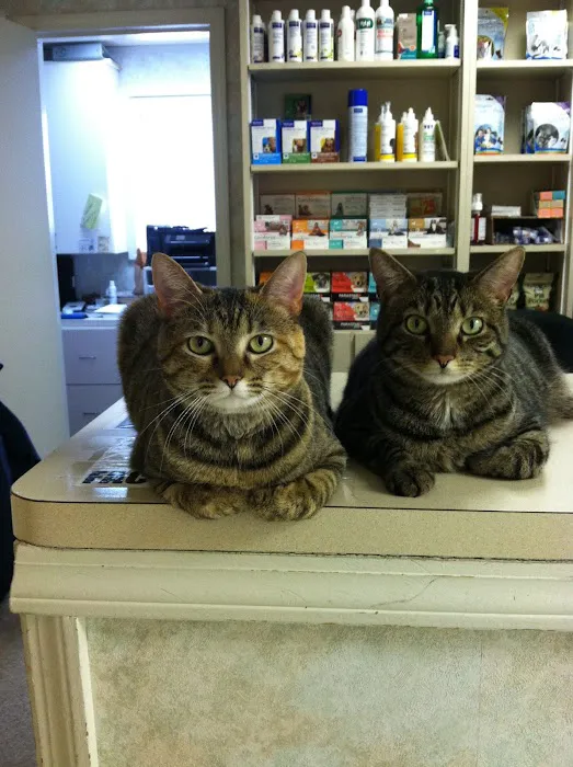 Cherry Grove Animal Hospital Picture 2