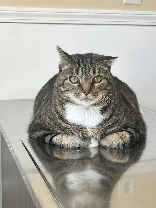 Cherry Grove Animal Hospital Picture 9