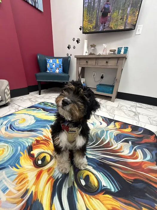 PetVet365 Pet Hospital Cincinnati/Anderson Picture 4