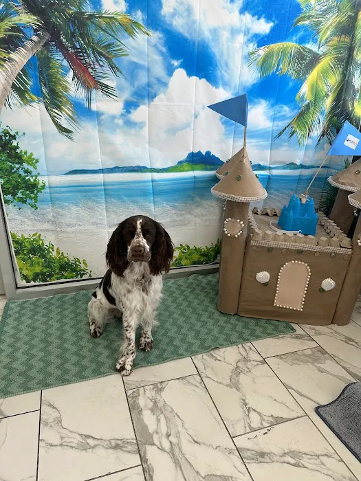 PetVet365 Pet Hospital Cincinnati/Anderson Picture 10
