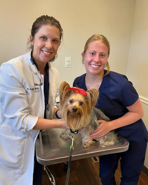 Cincinnati Hills Animal Clinic Picture 5
