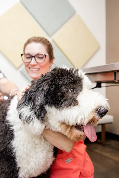 Camargo Animal Hospital Picture 1