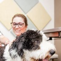 Camargo Animal Hospital ico