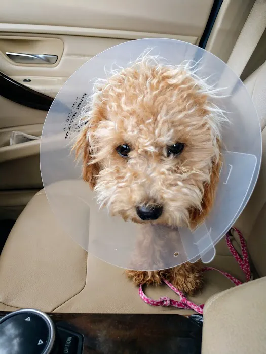 Camargo Animal Hospital Picture 4