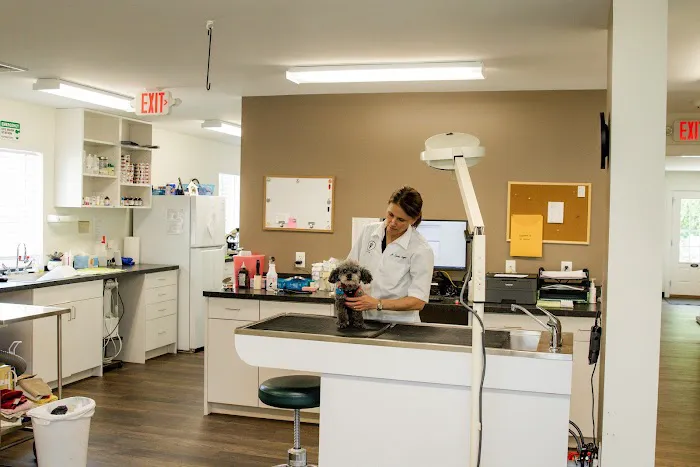 Camargo Animal Hospital Picture 3