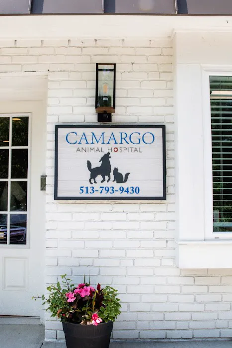 Camargo Animal Hospital Picture 5