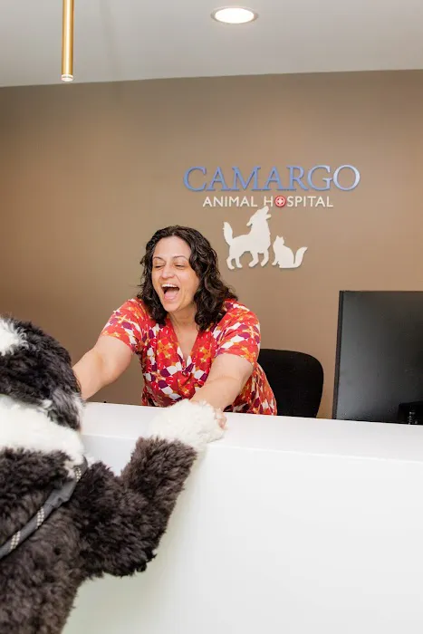 Camargo Animal Hospital Picture 6