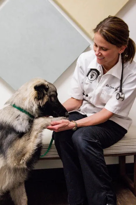 Camargo Animal Hospital Picture 10