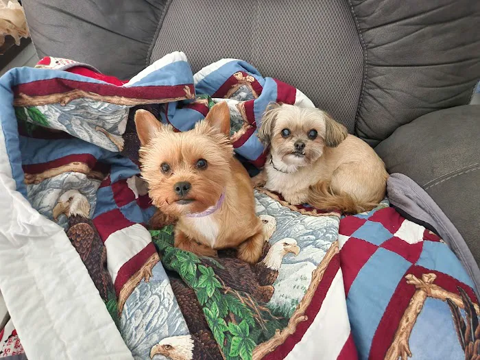 Banfield Pet Hospital Picture 2