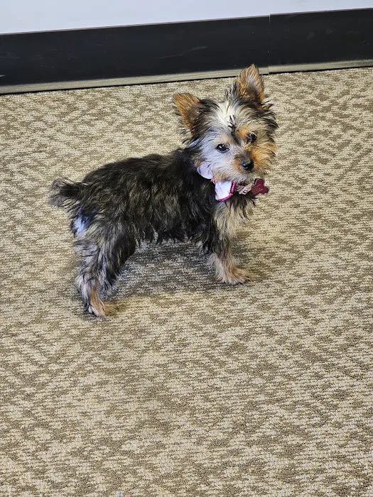 Banfield Pet Hospital Picture 5