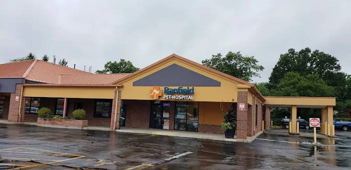 Banfield Pet Hospital Picture 6