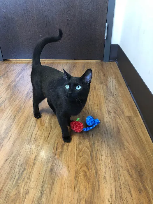 Hunter PetCare Picture 4