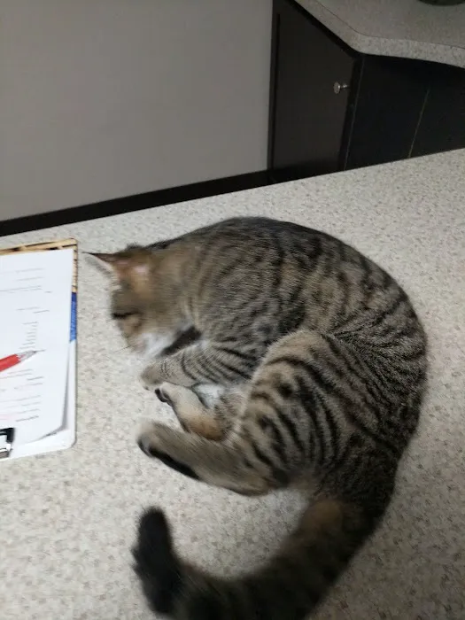 Hunter PetCare Picture 3