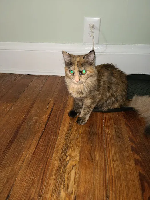 Hunter PetCare Picture 2