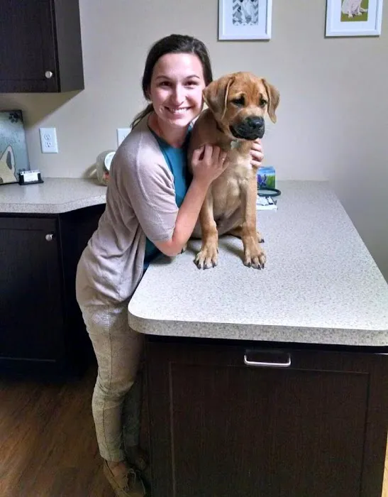 Hunter PetCare Picture 7