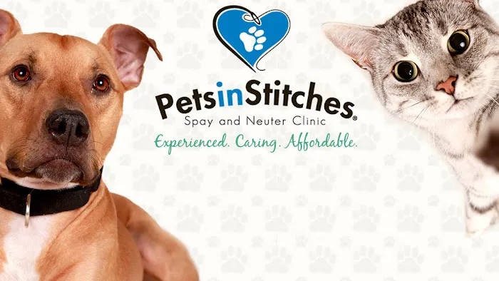 Pets In Stitches Picture 1