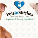 Pets In Stitches
