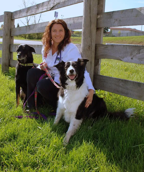 Twin Maples Veterinary Hospital Picture 8