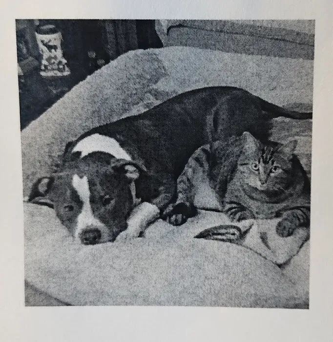 Woodman Drive Animal Hospital Picture 7