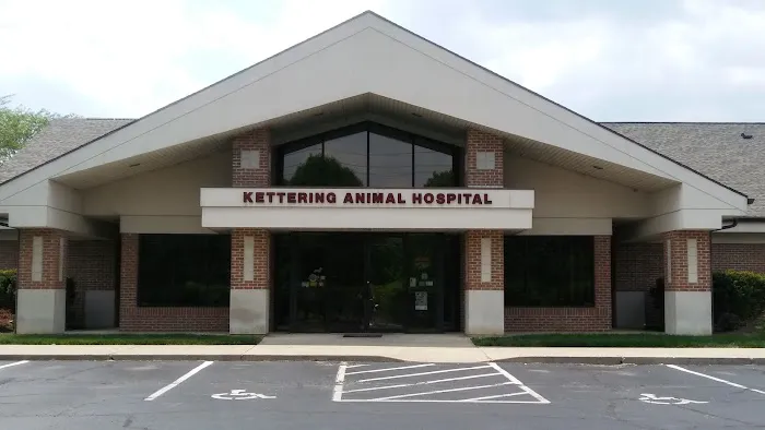 Kettering Animal Hospital Picture 2